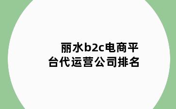 丽水b2c电商平台代运营公司排名