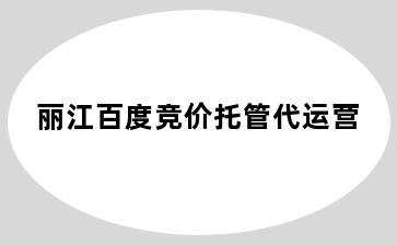 丽江百度竞价托管代运营