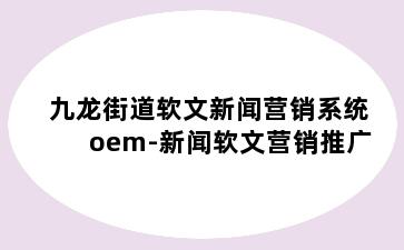 九龙街道软文新闻营销系统oem-新闻软文营销推广