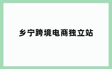 乡宁跨境电商独立站