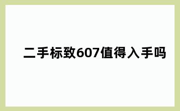 二手标致607值得入手吗