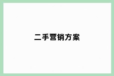 二手营销方案