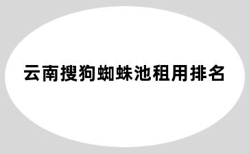 云南搜狗蜘蛛池租用排名