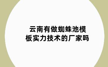 云南有做蜘蛛池模板实力技术的厂家吗