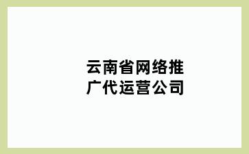 云南省网络推广代运营公司