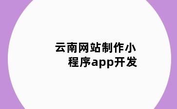 云南网站制作小程序app开发