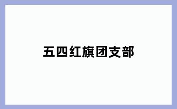 五四红旗团支部