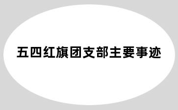 五四红旗团支部主要事迹