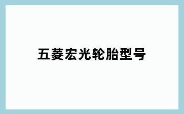 五菱宏光轮胎型号