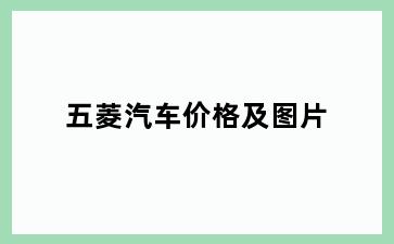 五菱汽车价格及图片