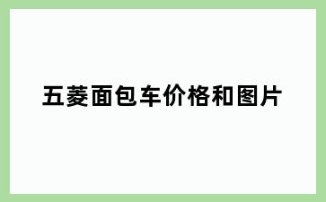 五菱面包车价格和图片