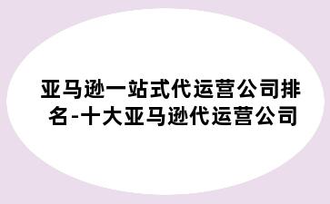 亚马逊一站式代运营公司排名-十大亚马逊代运营公司