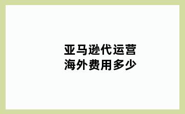 亚马逊代运营海外费用多少