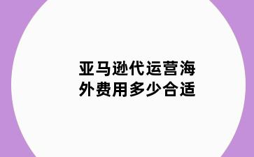 亚马逊代运营海外费用多少合适