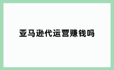 亚马逊代运营赚钱吗