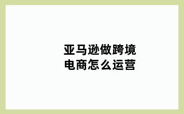 亚马逊做跨境电商怎么运营