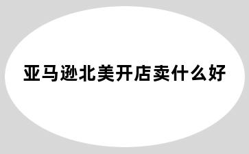 亚马逊北美开店卖什么好