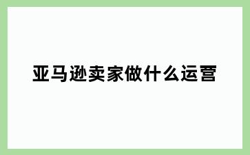 亚马逊卖家做什么运营