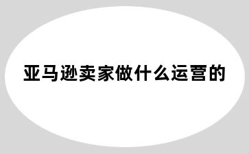 亚马逊卖家做什么运营的