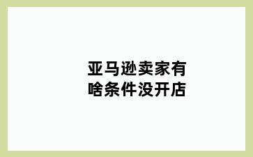 亚马逊卖家有啥条件没开店