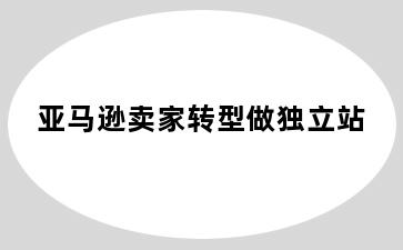 亚马逊卖家转型做独立站