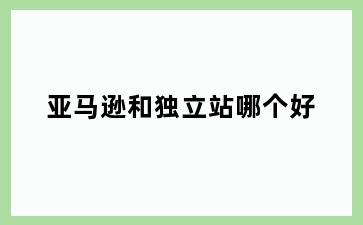 亚马逊和独立站哪个好