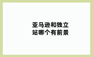 亚马逊和独立站哪个有前景
