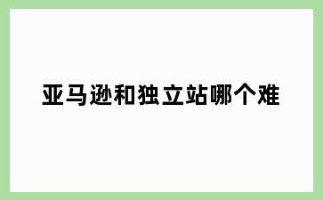 亚马逊和独立站哪个难