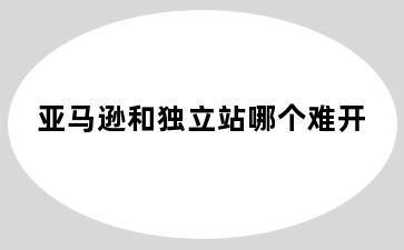 亚马逊和独立站哪个难开