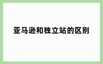 亚马逊和独立站的区别