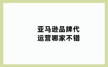 亚马逊品牌代运营哪家不错