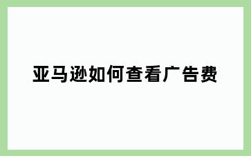 亚马逊如何查看广告费