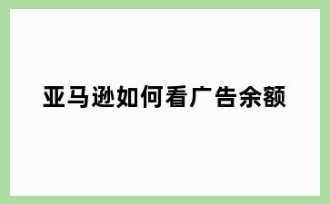 亚马逊如何看广告余额