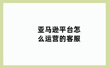 亚马逊平台怎么运营的客服