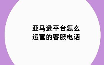 亚马逊平台怎么运营的客服电话