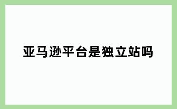 亚马逊平台是独立站吗