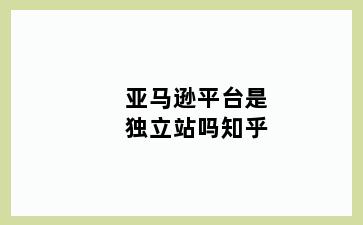 亚马逊平台是独立站吗知乎