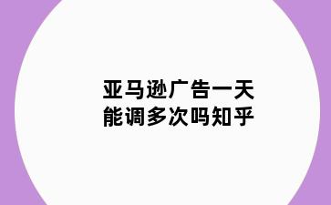 亚马逊广告一天能调多次吗知乎