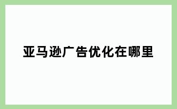 亚马逊广告优化在哪里