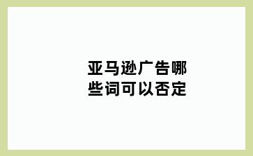亚马逊广告哪些词可以否定