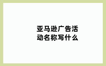 亚马逊广告活动名称写什么