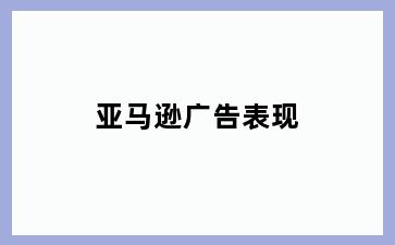 亚马逊广告表现