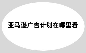 亚马逊广告计划在哪里看