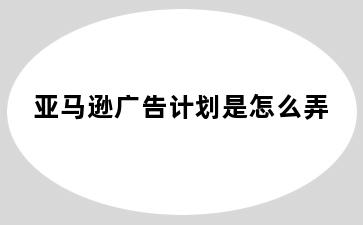 亚马逊广告计划是怎么弄