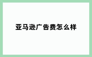 亚马逊广告费怎么样
