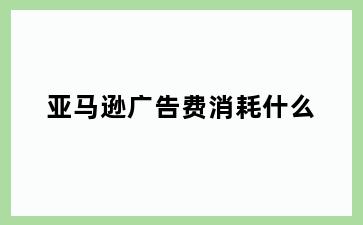 亚马逊广告费消耗什么