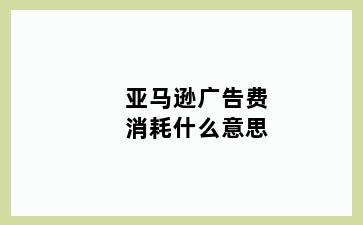 亚马逊广告费消耗什么意思