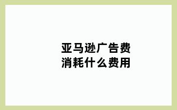 亚马逊广告费消耗什么费用