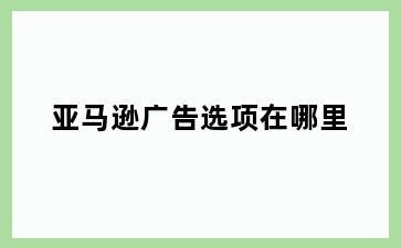 亚马逊广告选项在哪里