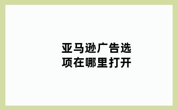 亚马逊广告选项在哪里打开